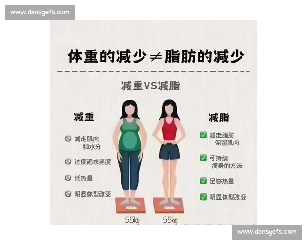 科学体脂管理全攻略助你健康减脂塑形提升生活质量